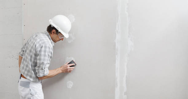 Best Drywall Repair  in Urbana, IA